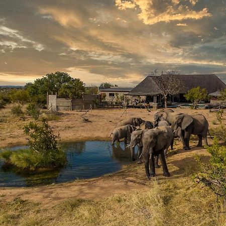 Imagine Africa Luxury Tented Camp Naturschutzgebiet Balule Exterior foto