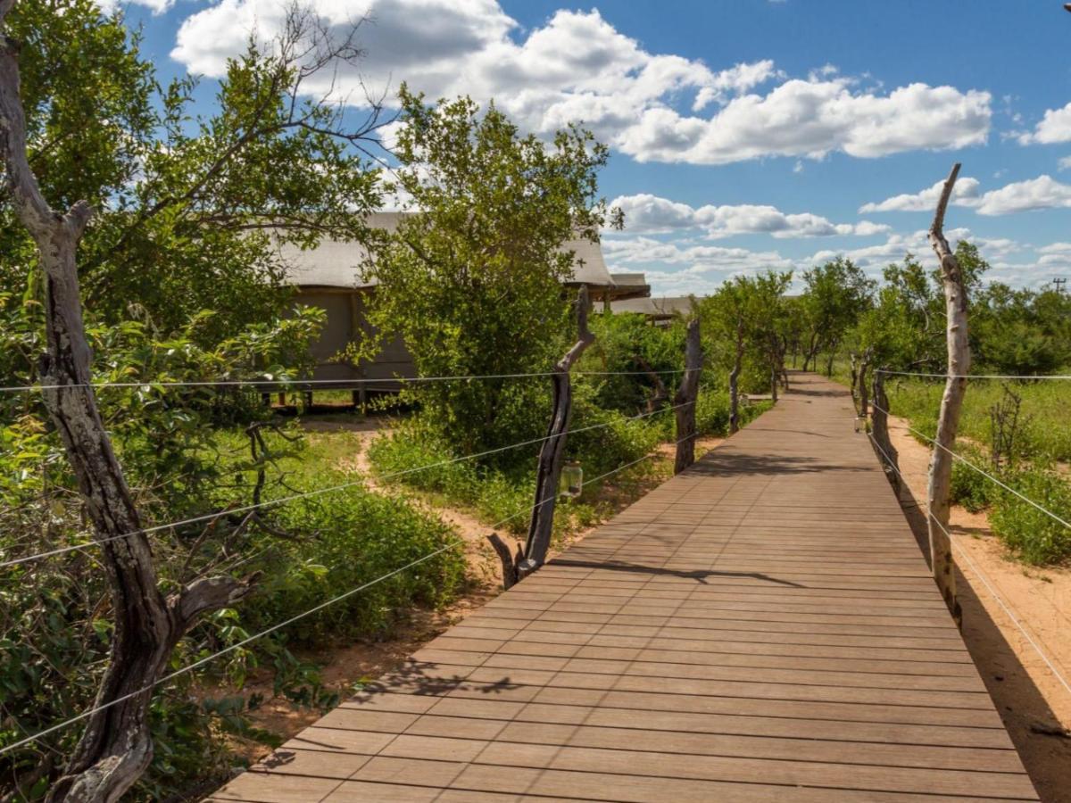 Imagine Africa Luxury Tented Camp Naturschutzgebiet Balule Exterior foto