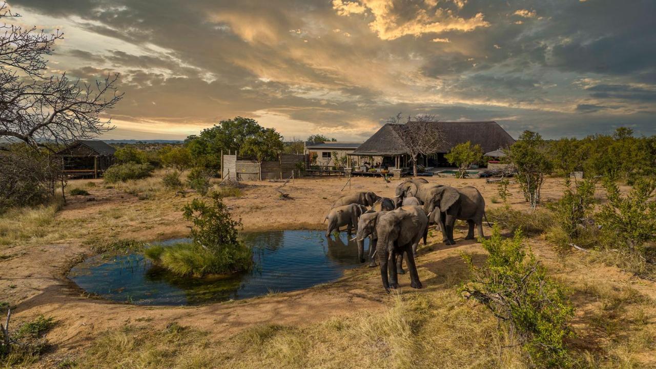 Imagine Africa Luxury Tented Camp Naturschutzgebiet Balule Exterior foto